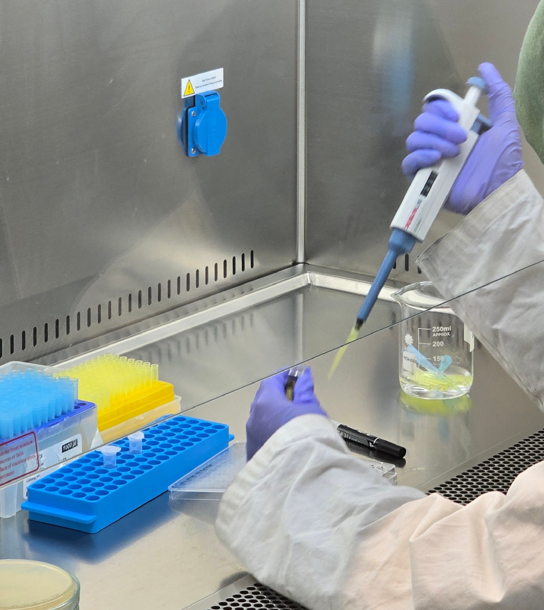 Nano-Bio Photonics